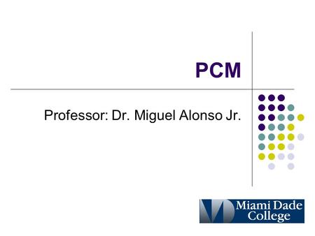 Professor: Dr. Miguel Alonso Jr.
