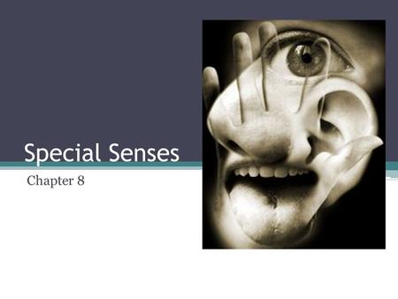Special Senses Chapter 8. Special senses ▫Smell ▫Taste ▫Sight ▫Hearing ▫Equilibrium.