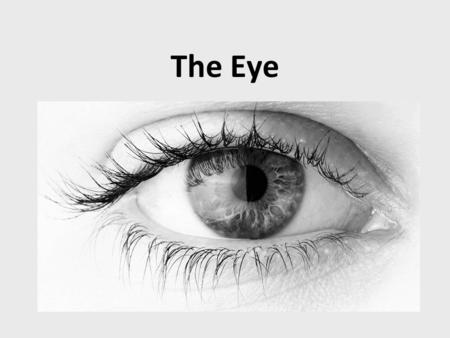 The Eye. Cross-section of an eye muscle optic nerve aqueous humour lens pupil iris cornea ciliary muscle vitreous humour blind spot retina sclera.