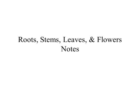 Roots, Stems, Leaves, & Flowers Notes. I. Roots Roots A. Functions Absorb water and minerals. Transport water up to the stem. Store water and food. Anchor.