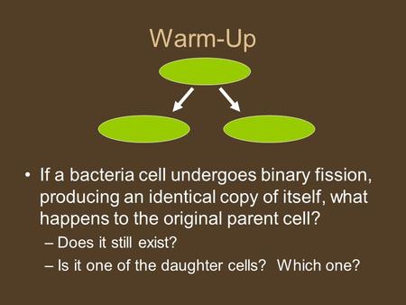 Warm-Up If a bacteria cell undergoes binary fission, producing an identical copy of itself, what happens to the original parent cell? Does it still exist?