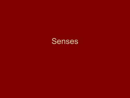 Senses. Sensory relationships –All of our senses respond to stimuli in the environment –Each sense has its own specific organ –In each sense organ there.