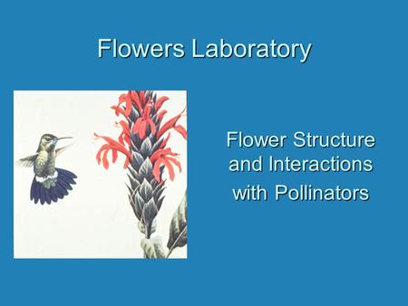 Flowers Laboratory Flower Structure and Interactions with Pollinators.