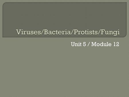 Viruses/Bacteria/Protists/Fungi