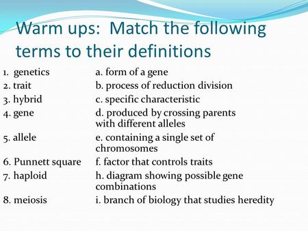 Warm ups: Match the following terms to their definitions 1. genetics a. form of a gene 2. trait b. process of reduction division 3. hybrid c. specific.