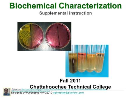 Biochemical Characterization