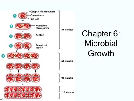 Chapter 6: Microbial Growth. Requirements for Growth Physical Requirements –Temperature –pH –Osmotic Pressure Chemical Requirements –Carbon –Nitrogen,Sulfur,