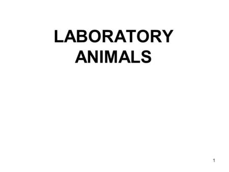 LABORATORY ANIMALS.