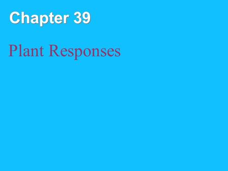 Chapter 39 Plant Responses. Copyright © 2008 Pearson Education, Inc., publishing as Pearson Benjamin Cummings I. Plant hormones Chemical signals that.