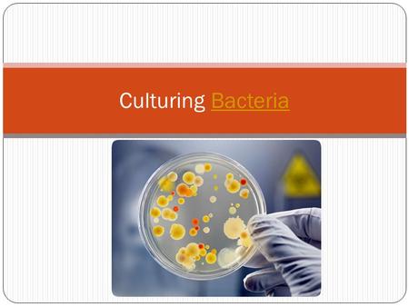 Culturing BacteriaBacteria. Lab Preparation In this lab you will be designing an experiment to test the effectiveness of a product that contains an antibacterial.