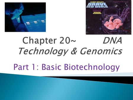 Part 1: Basic Biotechnology TACGCACATTTACGTACGCGGATGCCGCGACT ATGATCACATAGACATGCTGTCAGCTCTAGTAG ACTAGCTGACTCGACTAGCATGATCGATCAGC TACATGCTAGCACACYCGTACATCGATCCTGA.