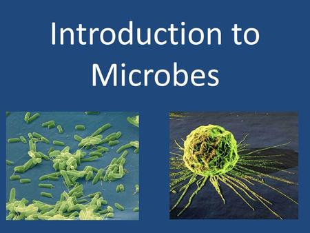 Introduction to Microbes