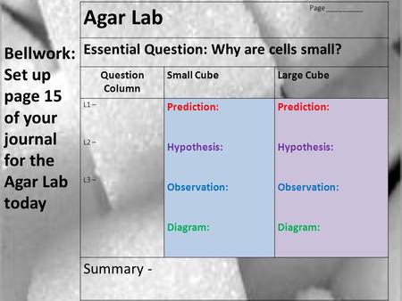 Agar Lab Page _________ Essential Question: Why are cells small?