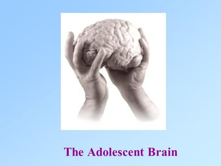 The Adolescent Brain. Matt, 16, can’t remember anything Bethany,18 “Knows” Everything.