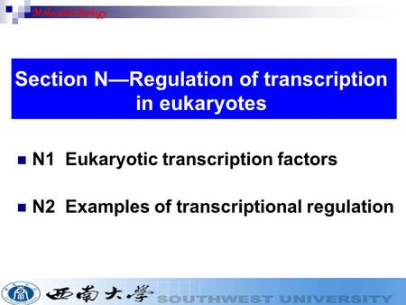 N1 Eukaryotic transcription factors N2 Examples of transcriptional regulation Section N—Regulation of transcription in eukaryotes Molecular Biology.