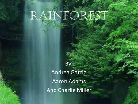 Rainforest By: Andrea Garcia Aaron Adams And Charlie Miller.