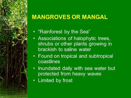 MANGROVES OR MANGAL “Rainforest by the Sea”
