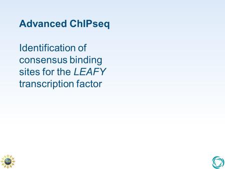 Advanced ChIPseq Identification of consensus binding sites for the LEAFY transcription factor.