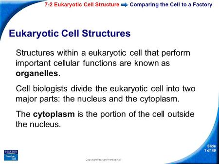 7-2 Eukaryotic Cell Structure Slide 1 of 49 Copyright Pearson Prentice Hall Comparing the Cell to a Factory Eukaryotic Cell Structures Structures within.