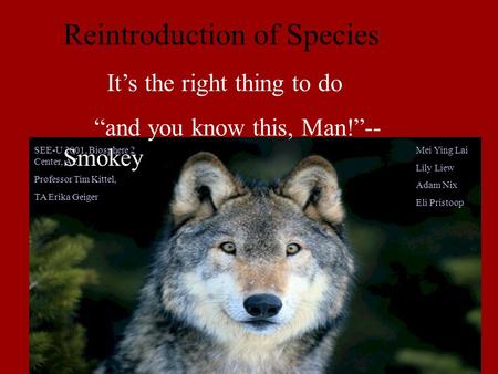 Reintroduction of Species It’s the right thing to do “and you know this, Man!”-- Smokey SEE-U 2001, Biosphere 2 Center, AZ Professor Tim Kittel, TA Erika.