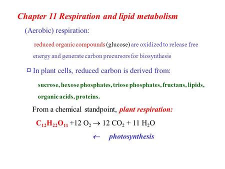 Chapter 11 Respiration and lipid metabolism