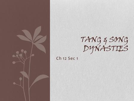 Ch 12 Sec 1 TANG & SONG DYNASTIES. 唐朝 Tang Dynasty (618-907 CE) A Golden Age of Chinese Civilization.