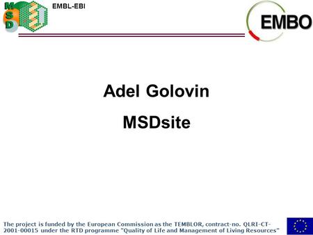EMBL-EBI Adel Golovin MSDsite The project is funded by the European Commission as the TEMBLOR, contract-no. QLRI-CT- 2001-00015 under the RTD programme.