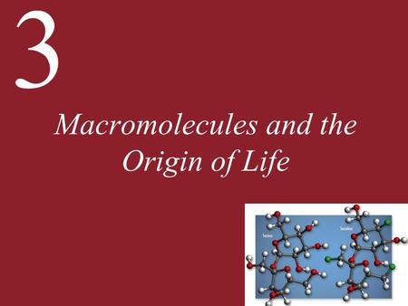 3 Macromolecules and the Origin of Life. 3 Macromolecules and the Origin of Life 3.1 What Kinds of Molecules Characterize Living Things? 3.2 What Are.