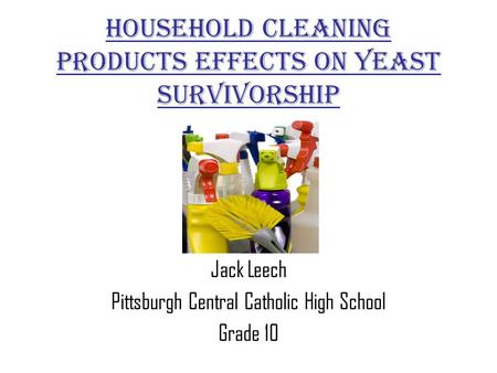 Household Cleaning Products Effects On Yeast Survivorship Jack Leech Pittsburgh Central Catholic High School Grade 10.