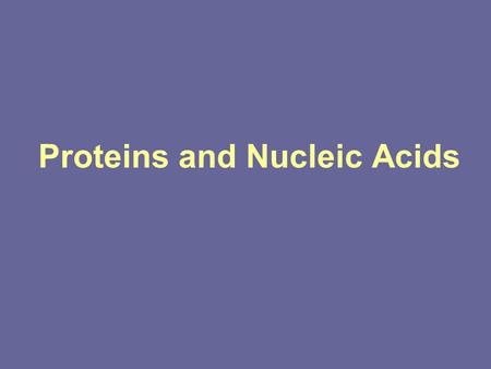 Proteins and Nucleic Acids. Amino acids are the building blocks of proteins.