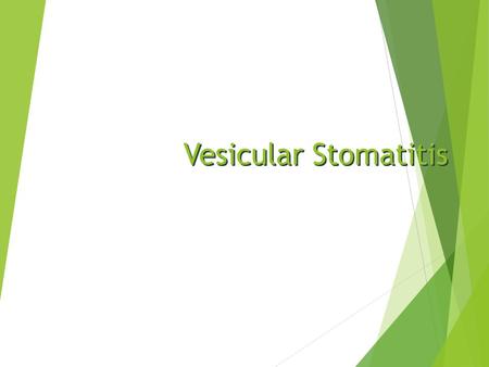 Vesicular Stomatitis. Overview Organism Economic Impact Epidemiology Transmission Clinical Signs Diagnosis and Treatment Prevention and Control Actions.
