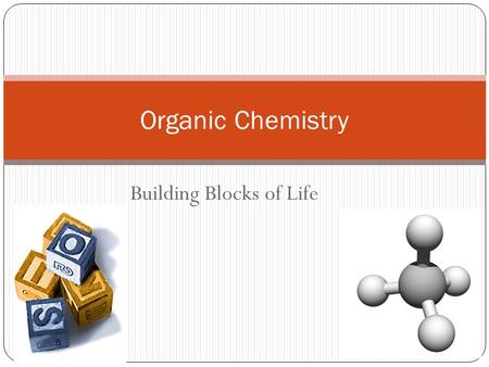 Building Blocks of Life 2007-2008 Organic Chemistry.
