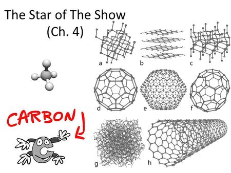 The Star of The Show (Ch. 4). Why study Carbon? All of life is built on carbon Cells – ~72% H 2 O – ~25% carbon compounds carbohydrates lipids proteins.