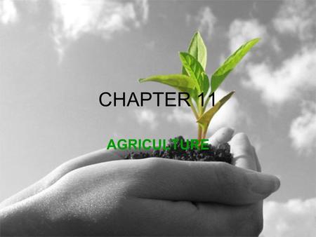 CHAPTER 11 AGRICULTURE. Organic agriculture (introduction) producing crops without any man made materials (pesticides, fertilizers) Most organic food.