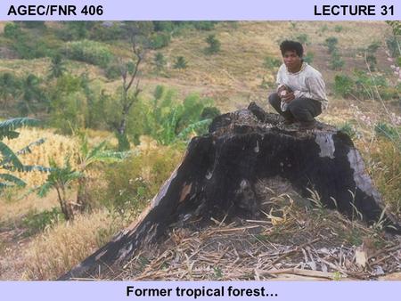 AGEC/FNR 406 LECTURE 31 Former tropical forest…. TROPICAL FORESTS Located between tropics of Capricorn and Cancer At least 10 percent woody cover Important.