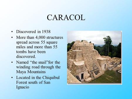 CARACOL Discovered in 1938 More than 4,000 structures spread across 55 square miles and more than 55 tombs have been discovered. Named “the snail”for.