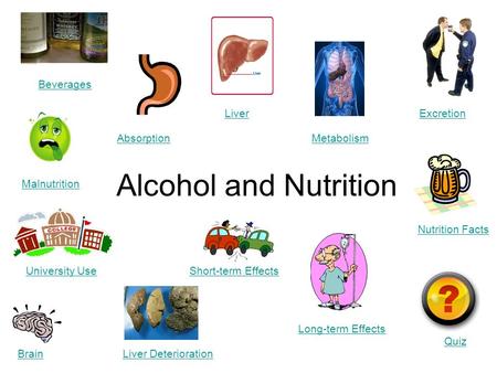 Alcohol and Nutrition Beverages Brain Absorption Liver Liver Deterioration Excretion Metabolism Quiz Malnutrition Nutrition Facts Short-term Effects Long-term.