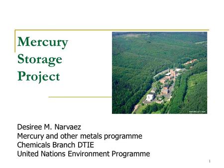 1 Mercury Storage Project Desiree M. Narvaez Mercury and other metals programme Chemicals Branch DTIE United Nations Environment Programme.