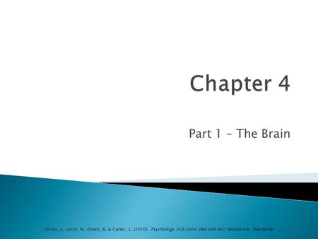 Chapter 4 Part 1 – The Brain