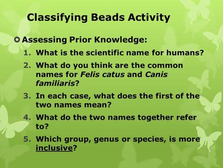 Classifying Beads Activity  Assessing Prior Knowledge: 1.What is the scientific name for humans? 2.What do you think are the common names for Felis catus.