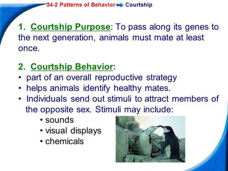 34-2 Patterns of BehaviorCourtship 1. Courtship Purpose: To pass along its genes to the next generation, animals must mate at least once. 2. Courtship.