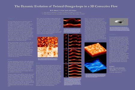 The Dynamic Evolution of Twisted Omega-loops in a 3D Convective Flow W.P. Abbett 1, Y. Fan 2, & G. H. Fisher 1 W.P. Abbett 1, Y. Fan 2, & G. H. Fisher.