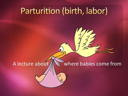 A lecture about where babies come from. 40 weeks in length 37 - 42 Weeks 3 trimesters Average weight 3 to 3.6 kg A missed period is the usual first clue.