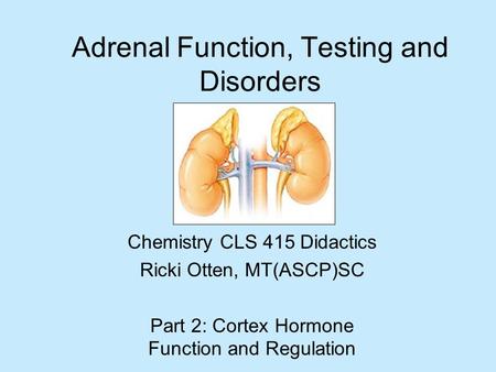 Adrenal Function, Testing and Disorders Chemistry CLS 415 Didactics Ricki Otten, MT(ASCP)SC Part 2: Cortex Hormone Function and Regulation.