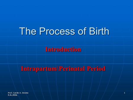 Prof. Carole A. Devine R.N.,MSN. 1 The Process of Birth Introduction Intrapartum\Perinatal Period.