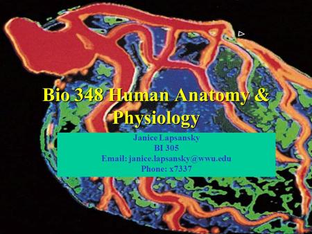 Bio 348 Human Anatomy & Physiology