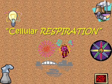 “Cellular RESPIRATION” What is the difference between respiration and breathing ?