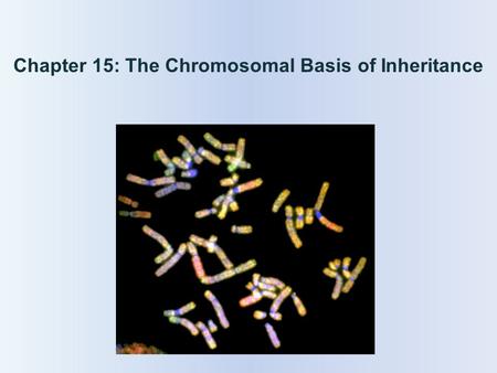 Chapter 15: The Chromosomal Basis of Inheritance.