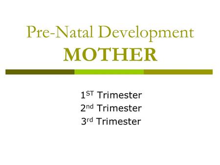 Pre-Natal Development MOTHER 1 ST Trimester 2 nd Trimester 3 rd Trimester.