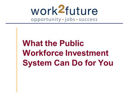 What the Public Workforce Investment System Can Do for You.